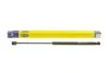 Амортизатор багажника SKODA Octavia (вир-во Magneti Marelli кор.код. GS0732) 430719073200