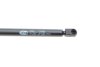 Амортизатор багажника VW Golf V (вір-во кор.код. GS0801) MAGNETI MARELLI 430719080100 (фото 4)
