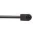 Фото 4 - амортизатор кришки MAGNETI MARELLI 430719091300 Амортизатор кришки MAGNETI MARELLI 430719091300 (фото 4)