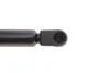 Фото 5 - амортизатор кришки MAGNETI MARELLI 430719091300 Амортизатор кришки MAGNETI MARELLI 430719091300 (фото 5)
