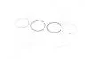 Кольца поршневые FORD 81,80 1,6 86-92 (Mahle) MAHLE / KNECHT 013 58 N1 (фото 1)