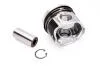Поршень двигателя RENAULT 80,00 F9Q 1,9TD (Mahle) MAHLE / KNECHT 021 58 00 (фото 2)