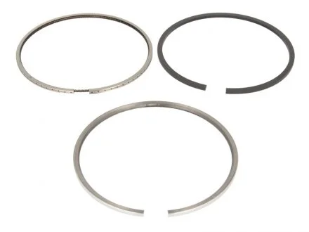 Кільця поршневі DAF MX265/300/340/375 D 130.00 (4/3.16/4) (Mahle) MAHLE / KNECHT 213 RS 10010 0N0 (фото 1)