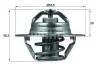 Термостат CITROEN ;OPEL; PEUGEOT; RENAULT; VOLVO; ВАЗ (пр-во Mahle) TX 88 88 D