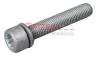 Болт з головкою системи TORX з чорного металу METZGER 6250007S (фото 1)