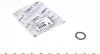 Прокладка фланця охолоджувальної рідини /19.5X3.5 оринг/ 100 121 0095