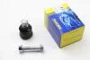 Шаровая опора (нижняя) Master/Movano 08- (24mm) RE-BJ-7905