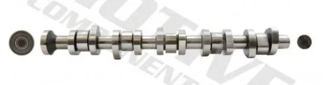 Розподільний вал, 2.5TDI (BNZ/BPC) 03-10 MOTIVE T069S