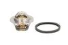 Термостат Ford Fiesta IV/Focus/VW Passat/Polo 1.1-1.6i 73- (92 C) (jiggle-pin) 202-92JK