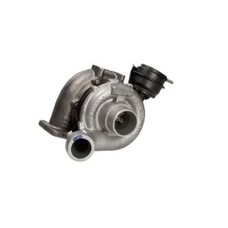 Турбина восстановленная AUDI A6 (4B, C5), A8 (4D2, 4D8), SKODA SUPERB (3U4) 2.5 TDI 00- MSG 454135-0008