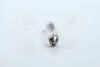 Лампа накаливания 12V C5W SV8,5 (11x41) NARVA 17175CP (фото 4)