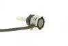 К-т світлодіодних ламп LED HIR2 24W 12/24V RPL2 6000K NARVA 180443000 (фото 3)
