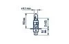 H1 12V 55W P14,5S  NARVA  48320