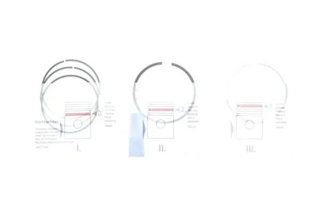 Фото 1 - кольца поршня двигателя NPR 120 038 0053 00 Кольца поршня двигателя NPR 120 038 0053 00 (фото 1)