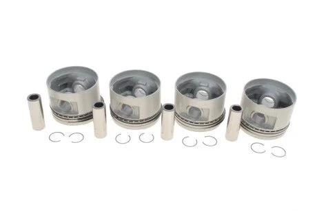 Поршень STD 81,01 mm 1 шт. NPR 130 050 0031 00