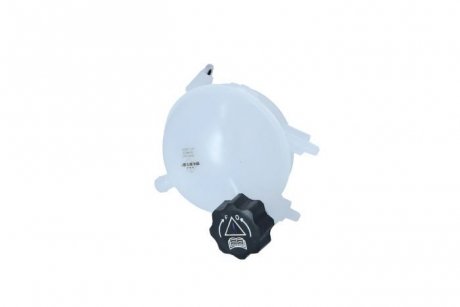 ZBIORNICZEK WYR?WNAWCZY CITROEN NRF 454022