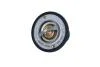 Термостат 71С Opel Movano/Renault Master II 3.0 Dci 03- 725088