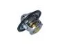 TERMOSTAT RENAULT CLIO 08- NRF 725089 (фото 2)