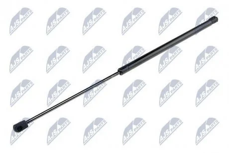 Амортизатор задньої кришки Nty AE-CH-008