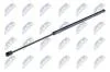Амортизатор багажника зад VW PASSAT B8 14- (COMBI) AE-VW-055