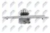 Насос водяной двигателя Nty CPW-MZ-048 (фото 4)