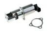 NTY Клапан EGR EGR-MS-000
