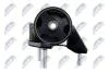 Подушка двигателя Nty ZPS-TY-009 (фото 3)