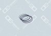 Комплект уплотняющих колец гильзы цилиндра OE Germany 030111121000 (фото 2)