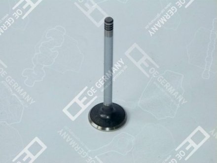 Клапан головки блоку циліндрів OE Germany 04 0520 101301 (фото 1)