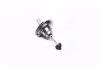 Лампа фарная H7 12V 55W PX26d (Neolux) OSRAM N499 (фото 1)