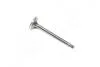 Клапан-EXH/STD/V96/DOHC PRINCE (вір-во PMC-ESSENCE) PARTS MALL (PMC) HCZC-008E (фото 3)