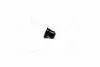 Сальник клапана Hyundai SONATA (пр-во PARTS-MALL) P1D-A006