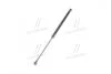 Фото 4 - амортизатор багажника Lacetti HB (PARTS-MALL) PARTS MALL (PMC) PQC-203 Амортизатор багажника Lacetti HB (PARTS-MALL) PARTS MALL (PMC) PQC-203 (фото 4)