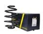 Пружина задня Omega A/Omega B 86-03 (273*15*155) SR017TP