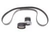 Комплект ременя генератора Renault  1.5 dCi (6PK1195) 11 72 024 95R