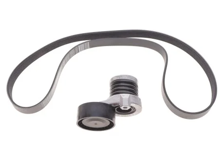 Комплект ремня генератора 1.5 dCi (6PK1195) RENAULT 11 72 024 95R