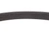 Комплект ремня генератора 1.5 dCi (6PK1195) RENAULT 11 72 024 95R (фото 6)