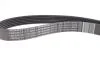 Комплект ремня генератора 1.5 dCi (6PK1195) RENAULT 11 72 024 95R (фото 7)