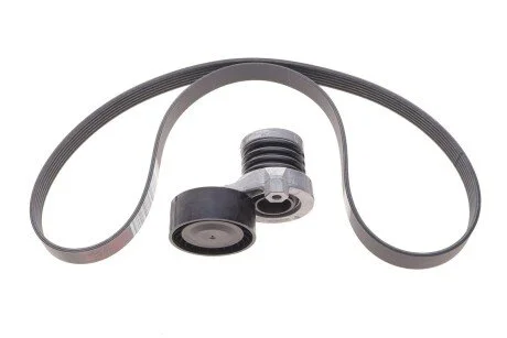 Комплект ремня генератора Duster RENAULT 11 72 025 06R (фото 1)