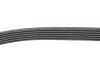 Комплект ремня генератора Duster RENAULT 11 72 025 06R (фото 6)