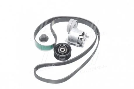 Комплект ременя генератора Megane III, Scenic III RENAULT 117207538R