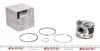 Поршень двигателя 1.5dci Logan, Duster, KangooI, MeganeII (120A10282R) Renault