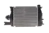 Интеркулер Duster RENAULT 144967634R (фото 4)