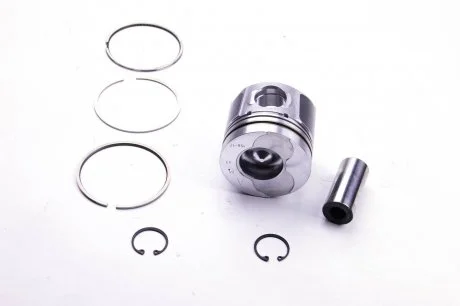 Поршень std 19dCi /19dTi Trafic II Opel Vivaro A 01-14/Kangoo 97-08 Master II/Opel Movano A 98-10 RENAULT 77 01 472 834