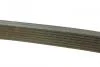 Комплект ремня генератора 20dciTraficII/ Vivaro2006MasterIII/ Movano2010LagunaII/ III (7pk1975) RENAULT 77 01 476 645 (фото 2)