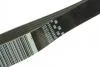 Комплект ремня генератора 20dciTraficII/ Vivaro2006MasterIII/ Movano2010LagunaII/ III (7pk1975) RENAULT 77 01 476 645 (фото 3)