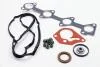 Прокладка двигун (компл) Renault Megane 2, Clio 2, Kangoo mot.1.5DCi (верхній) 77 01 476 729