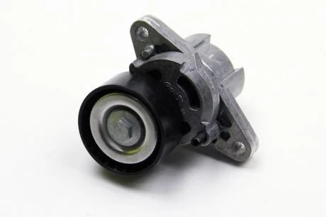 Натяжитель ремня клин. Clo II, Espace III, Kangoo, Laguna/II, Megane RENAULT 8200603359