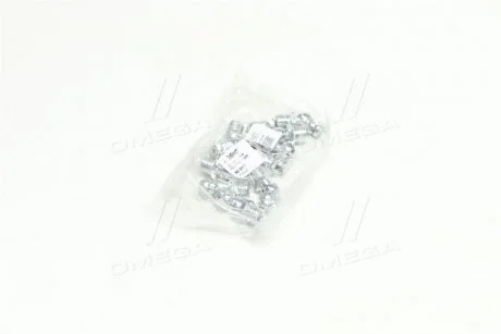 Фото 1 - прес-маслянка М8х1x45 кутова (10шт)) RIDER RD-0017 Прес-маслянка М8х1x45 кутова (10шт)) RIDER RD-0017 (фото 1)