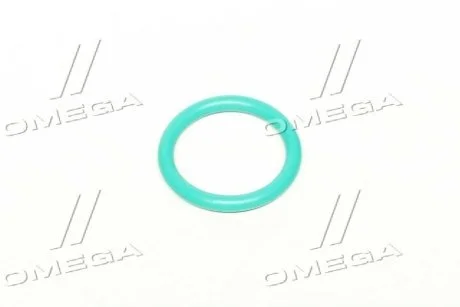 Кольцо форсунки MB RIDER RD.2430210081 (фото 1)